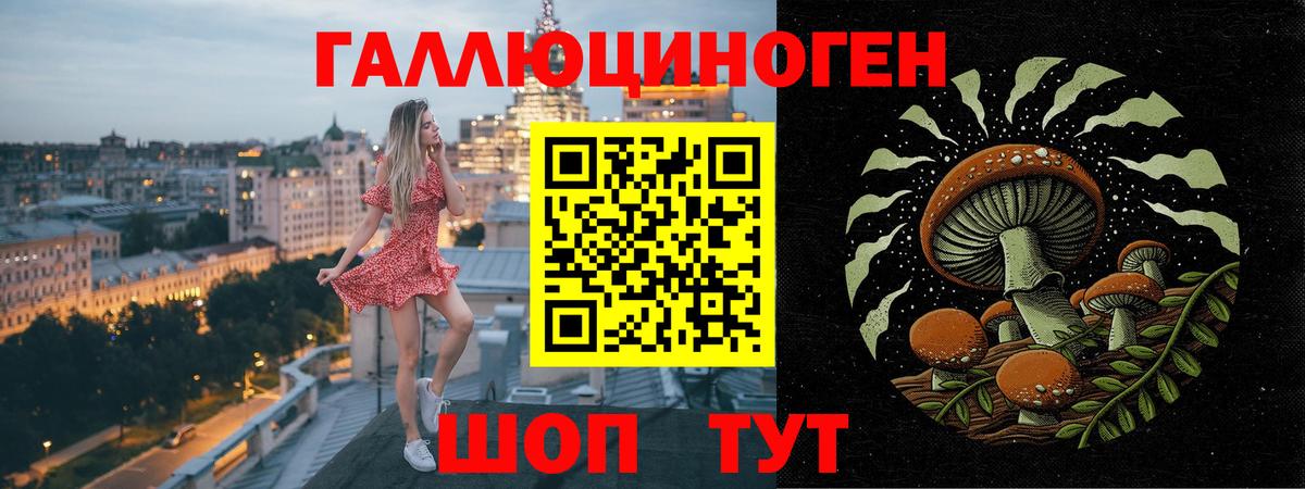 Псилоцибиновые грибы мицелий Ангарск
